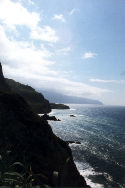 Madeira01 03 11
