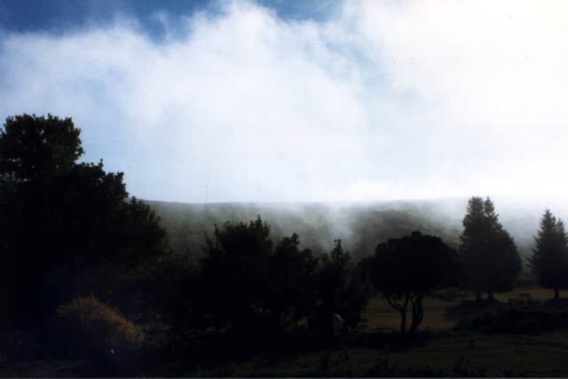 Madeira01 03 26