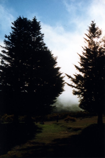 Madeira01 03 32