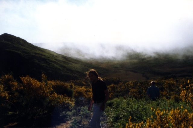 Madeira01 03 33