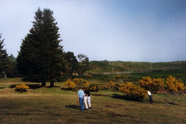 Madeira01 03 36
