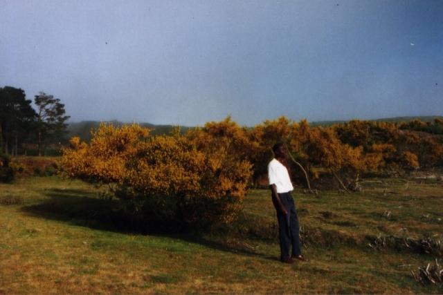 Madeira01 03 37