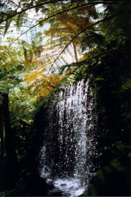 Madeira01 05 38