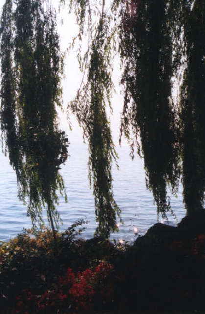 genfersee