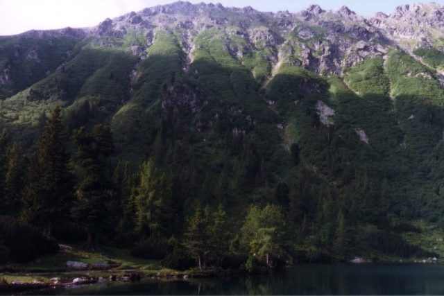 GrosserBoesenstein03 01 11