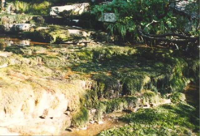 landschaft1
