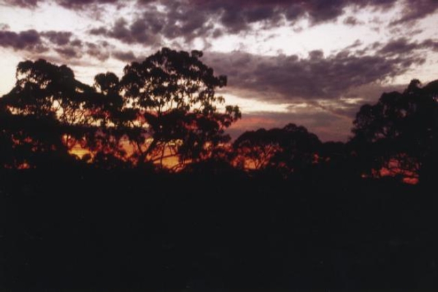 AUS02 31