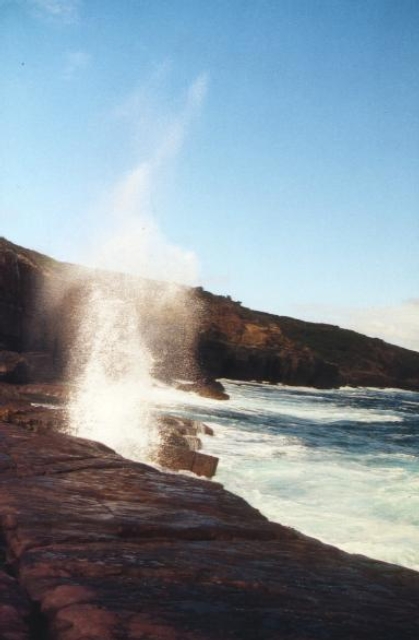 AUS07 31