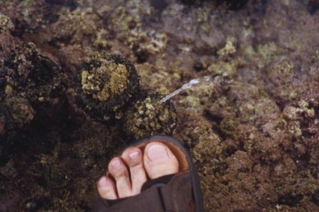 AUS08 15