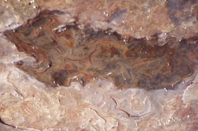 AUS09 30
