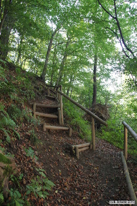 Oberkapfenberg20180809 123940