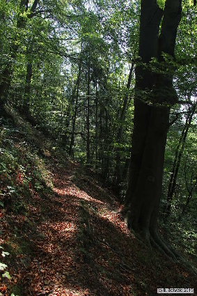 Oberkapfenberg20180809 124714