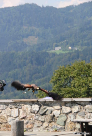 Oberkapfenberg20180809 151003