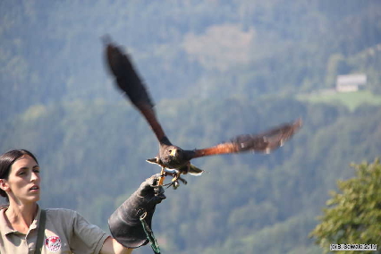 Oberkapfenberg20180809 151037