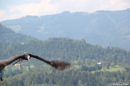 Oberkapfenberg20180809 151755