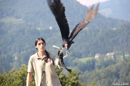 Oberkapfenberg20180809 151814