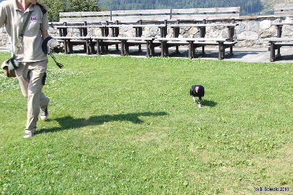 Oberkapfenberg20180809 151841
