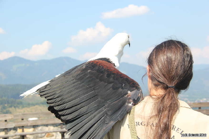 Oberkapfenberg20180809 152036