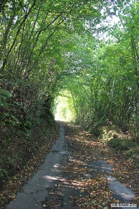 Oberkapfenberg20180809 155957