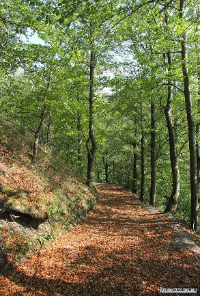 Oberkapfenberg20180809 161238