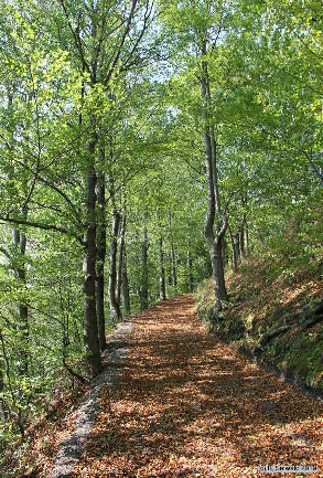 Oberkapfenberg20180809 161314