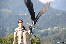 Oberkapfenberg20180809-151814