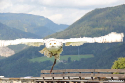 Oberkapfenberg20180812 110330