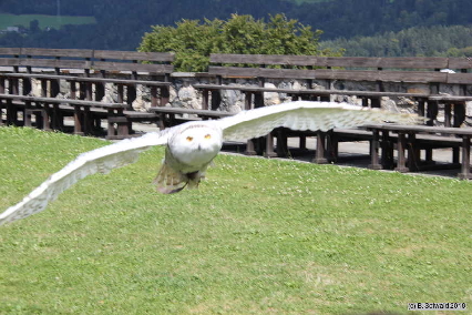 Oberkapfenberg20180812 110448