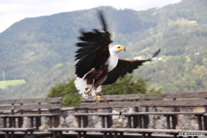 Oberkapfenberg20180812 112436