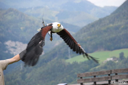 Oberkapfenberg20180812 112503