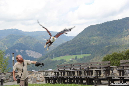 Oberkapfenberg20180812 112530