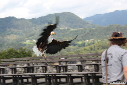 Oberkapfenberg20180812 112531