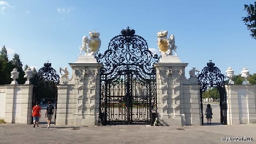Vienna20180817 162539