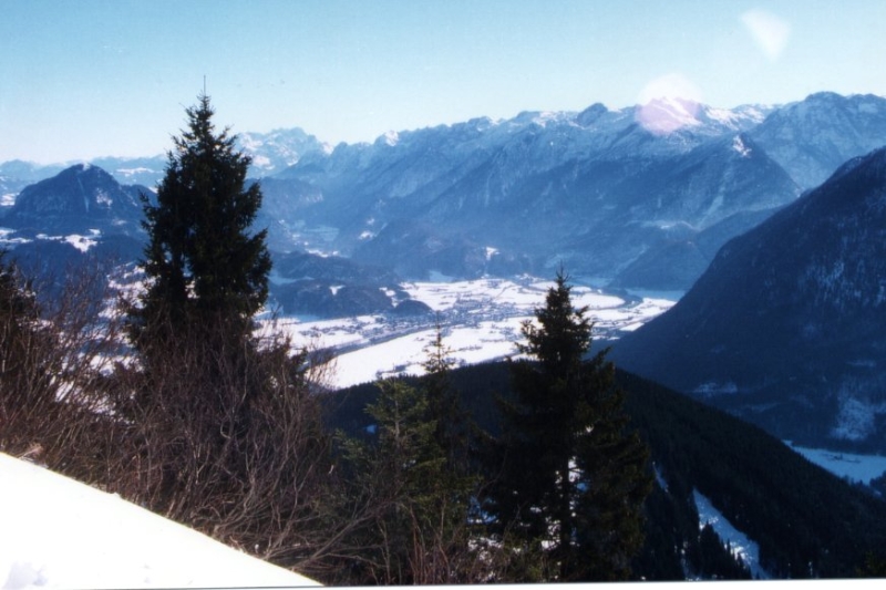 ROSSFELD01 37