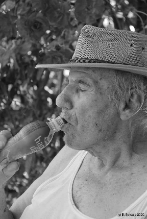 Scheffenbichler S20200821 170654
