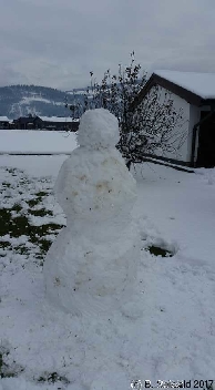 Snowman20171220 125939