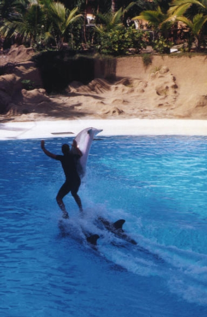 TENERIFE 03