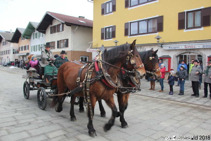 Winterausfahrt der Pferdezuchtvereine20180128 141326