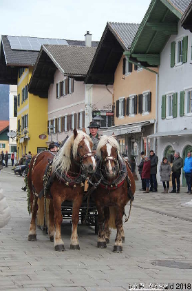 Winterausfahrt der Pferdezuchtvereine20180128 141350