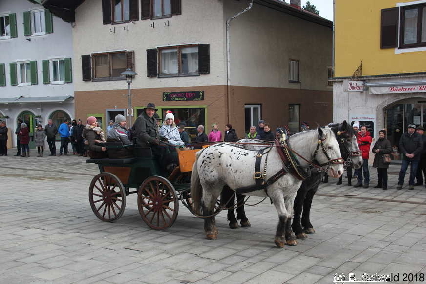 Winterausfahrt der Pferdezuchtvereine20180128 141515