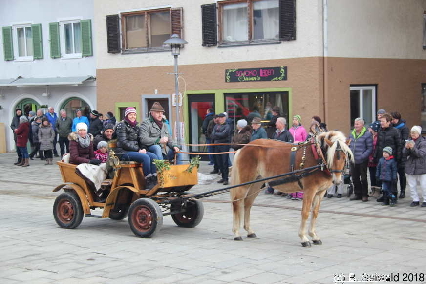 Winterausfahrt der Pferdezuchtvereine20180128 141718