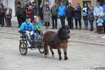 Winterausfahrt der Pferdezuchtvereine20180128 141834
