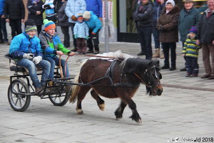 Winterausfahrt der Pferdezuchtvereine20180128 141905