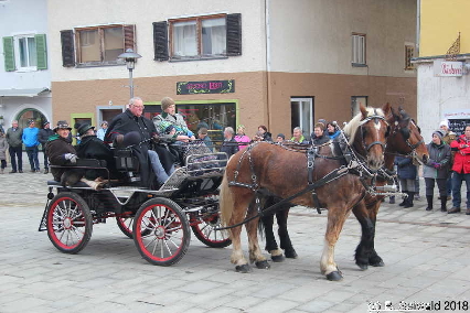 Winterausfahrt der Pferdezuchtvereine20180128 141920