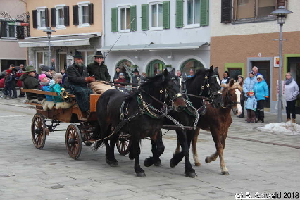 Winterausfahrt der Pferdezuchtvereine20180128 142039