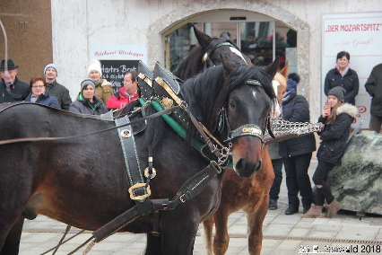 Winterausfahrt der Pferdezuchtvereine20180128 142117