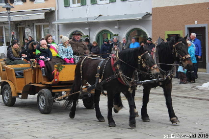 Winterausfahrt der Pferdezuchtvereine20180128 142216