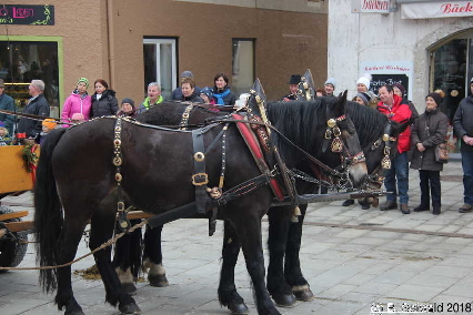 Winterausfahrt der Pferdezuchtvereine20180128 142225