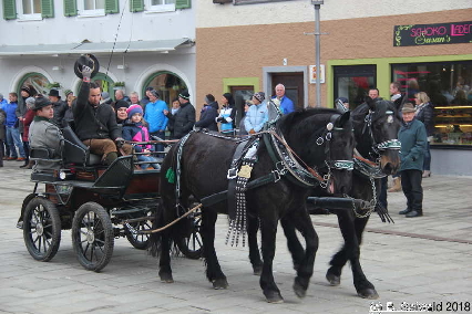 Winterausfahrt der Pferdezuchtvereine20180128 142603