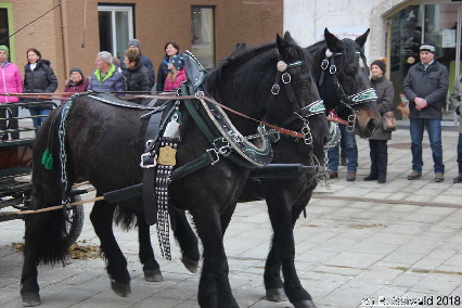 Winterausfahrt der Pferdezuchtvereine20180128 142629